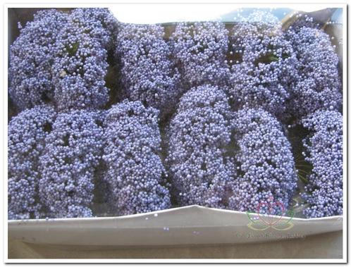 Fieldberries lila / doos voor bloemschikken, Huis en Inrichting, Woonaccessoires | Kunstplanten en Kunstbloemen, Nieuw