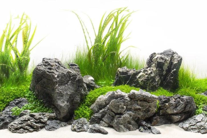 Grey Luo Hanshi 20-30cm - aquarium decoratie stenen, Dieren en Toebehoren, Vissen | Aquaria en Toebehoren, Nieuw, Verzenden