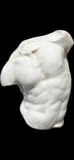 sculptuur, Torso Gaddi - 35 cm - marmeren stof