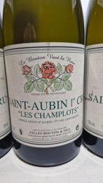 2013 Domaine Gilles Bouton & Fils, Les Champlots -, Nieuw