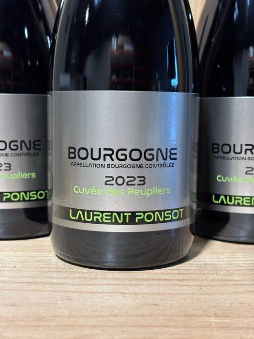 2023 Laurent Ponsot - Bourgogne Rouge - Bourgogne - 3, Collections, Vins