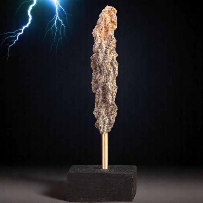 Échantillon de zoologie naturelle extrêmement rare - Énergie, Verzamelen, Dierenverzamelingen