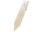 NE-vuren houten plankpiket 100x18mm 500mm, Doe-het-zelf en Bouw, Nieuw, Ophalen of Verzenden