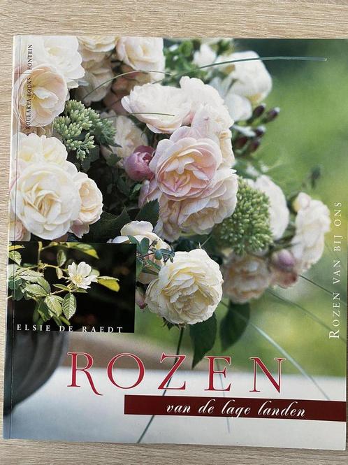 Rozen van de lage landen 9789054662334 E. de Raedt, Boeken, Hobby en Vrije tijd, Gelezen, Verzenden