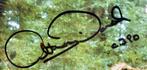 Star Wars - Signed in person by Anthony Daniels  C3PO, Nieuw