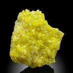 Citroengeel natuurlijke zwavel zwavel Kristal - Hoogte: 6.5, Verzamelen