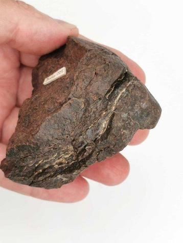 Dhofar 005 Meteoor Chondrite meteoriet - 390 g