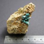 Malachite Cristaux sur matrice - Hauteur : 6.5 cm - Largeur, Collections