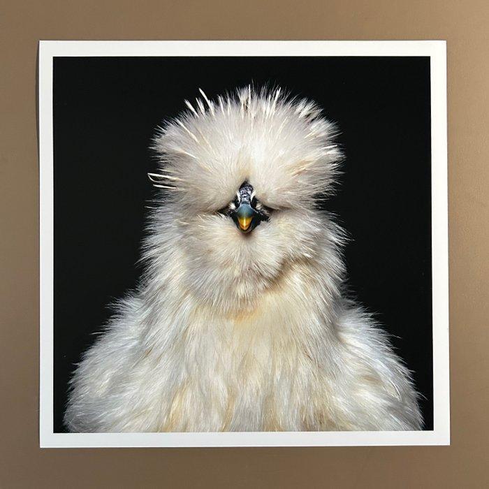 Ralph Hargarten - Coco, Antiquités & Art, Art | Objets design