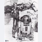 Star Wars - Signed by Anthony Daniels (C-3PO) and Kenny, Collections, Cinéma & Télévision