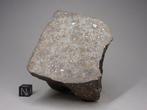 NWA 12544 - Masse principale - L4 Météorite - 665 g