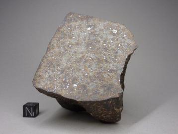 NWA 12544 - Masse principale - L4 Météorite - 665 g
