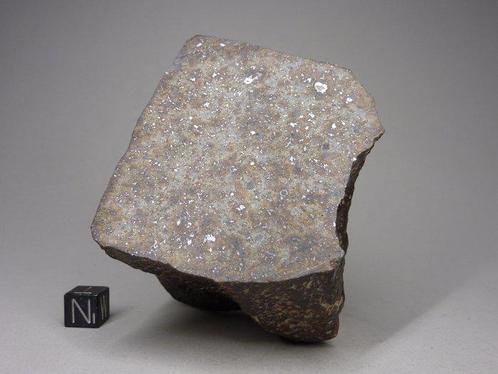 NWA 12544 - Masse principale - L4 Météorite - 665 g, Verzamelen, Mineralen en Fossielen