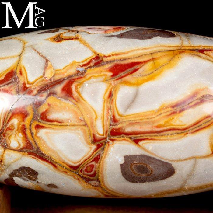 Indrukwekkende, knalgekleurde agatiseerde jaspis - Shiva, Verzamelen, Mineralen en Fossielen