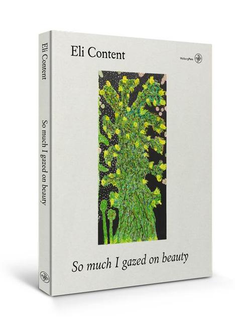 Eli Content 9789462494367, Boeken, Kunst en Cultuur | Beeldend, Gelezen, Verzenden