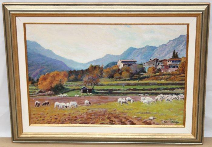 Joan Marín Barberán (1920-2016) - Otoño en la Garrotxa, Antiek en Kunst, Kunst | Schilderijen | Klassiek