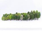 Bomen, Bäume, Trees, Arbres H0 - Décor de train miniature, Nieuw
