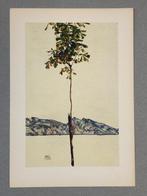 Egon Schiele (1890-1918), (after) - Kastanienbaum am