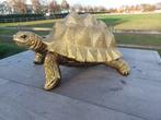 Beeld, large turtle gold patine - 25 cm - polyresin, Antiek en Kunst