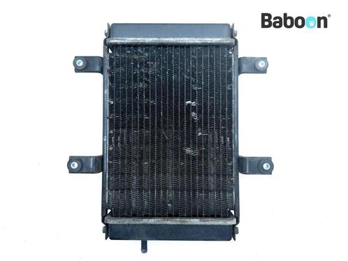Radiateur SYM GTS 250 Joymax 2006-2010 (GTS250), Motoren, Onderdelen | Overige, Verzenden