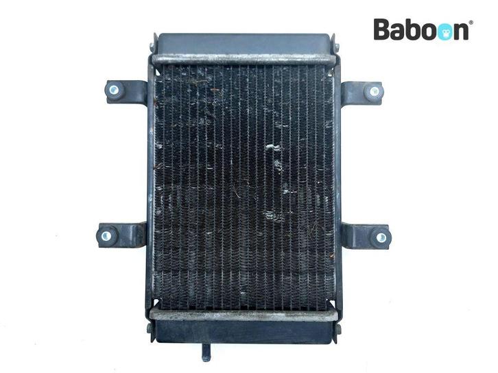 Radiateur SYM GTS 250 Joymax 2006-2010 (GTS250), Motoren, Onderdelen | Overige, Verzenden