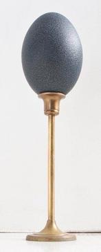 Emoe Ei - Dromaius novaehollandiae - 33 cm - 0 cm - 0 cm-, Nieuw