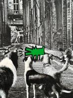 Mr Brainwash (1966) - Alley Dogs