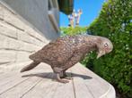 Figurine - Levensechte duif - Bronze