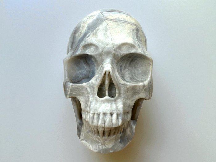 Crazy Lace Agate Schedel “Museumkwaliteit” Gesneden schedel, Antiquités & Art, Curiosités & Brocante