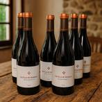 Castillo de Mendoza, Autor Ecológico - Rioja - 6 Flessen, Nieuw