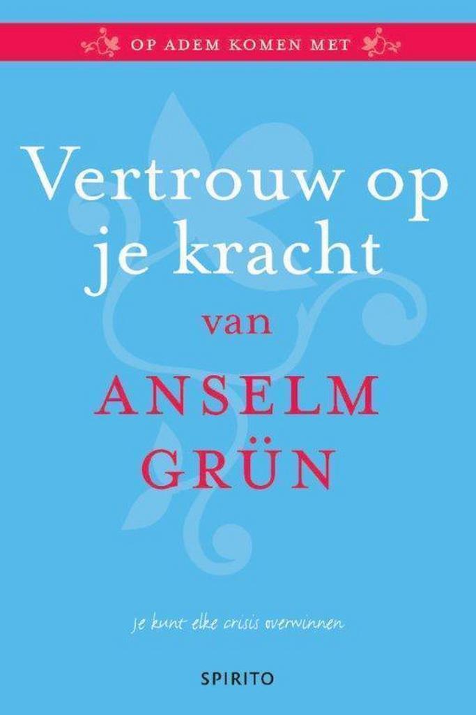 Vertrouw op je kracht 9789462500433 Anselm Grun, Livres, Psychologie, Envoi