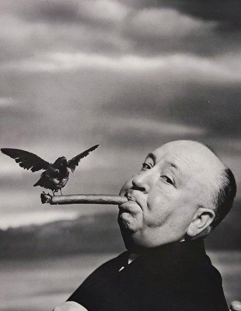 Philippe Halsman - Alfred Hitchcock, The Birds, 1962, Antiquités & Art, Art | Peinture | Moderne