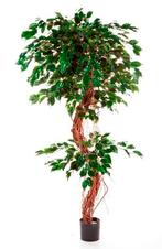 Kunstplant Ficus Twisted 180 cm, Maison & Meubles, Plantes d'intérieur, Verzenden