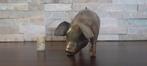 Pierre Chenet (XX-XXI) - sculptuur, Le Cochon a tete baissé