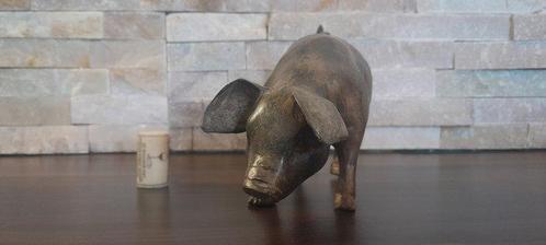 Pierre Chenet (XX-XXI) - sculptuur, Le Cochon a tete baissé, Antiek en Kunst, Curiosa en Brocante