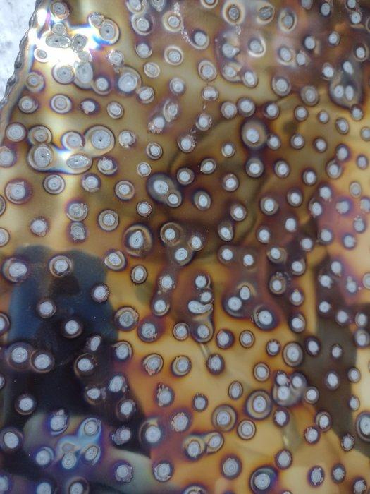 wall ribbon, spots, Antiek en Kunst, Kunst | Designobjecten