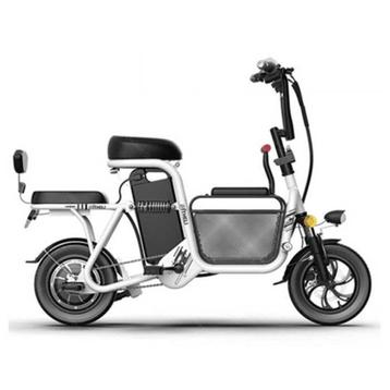 Elektrische Fiets met Extra Zitje - Vouwbare Smart E Bike -
