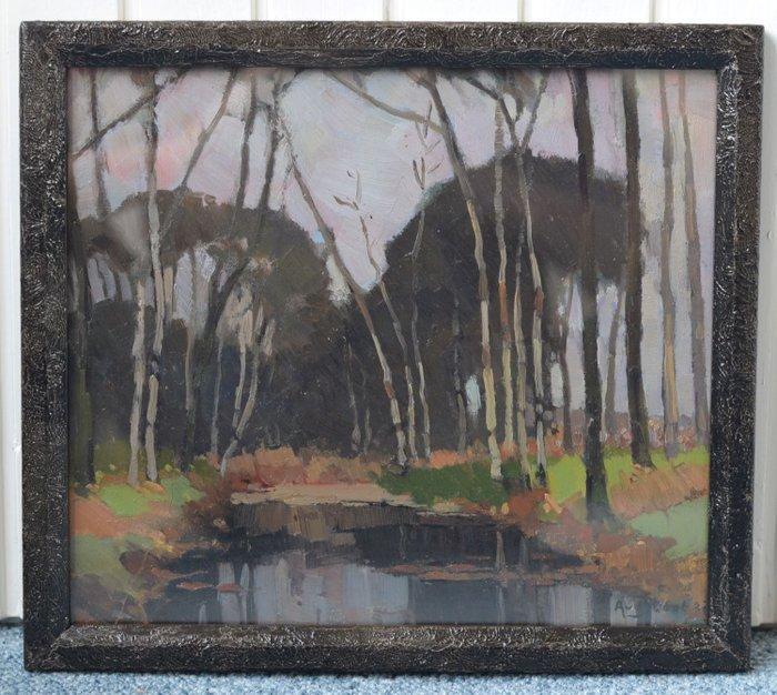 Andries van der Sloot (1883-1955) - Een vennetje met, Antiek en Kunst, Kunst | Schilderijen | Klassiek
