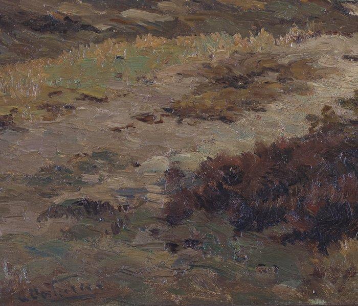Herman van Oosterzee (1863-1933) - Duinen bij Haamstede, Antiek en Kunst, Kunst | Schilderijen | Klassiek