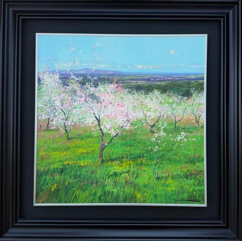 Ramon Vilà Estudis (1958) - Almendros en flor, Antiek en Kunst, Kunst | Schilderijen | Klassiek