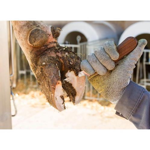 Hoef- en klauwmes - superprofi, links, smal - kerbl, Dieren en Toebehoren, Overige Dieren-accessoires, Nieuw