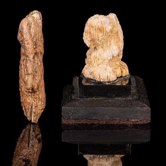 Oud-Egyptisch Paar figuren (Zonder Minimumprijs), Antiek en Kunst, Antiek | Overige Antiek