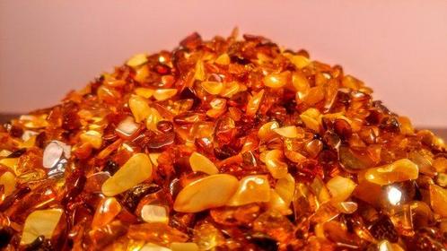 Ambre - Ambre - Lot 1 kg - Baltic Amber Polished - 5 mm - 5, Collections, Collections Animaux