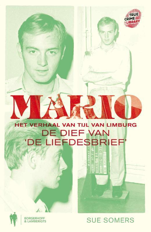 Mario, het verhaal van Tijl van Limburg 9789089311733, Boeken, Romans, Gelezen, Verzenden