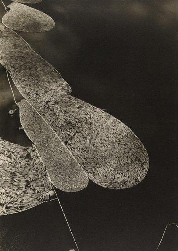 Margaret Bourke-White - Log Rafts