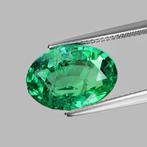 Groen Smaragd - 7.65 ct - Lotus Gemology, Nieuw