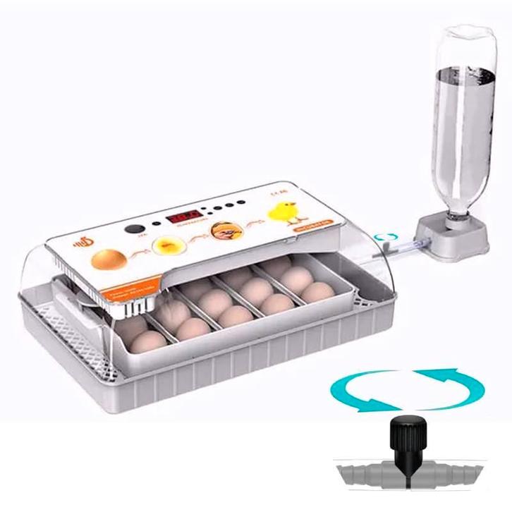 Expert Volautomatische broedmachines GRATIS EIEREN, Dieren en Toebehoren, Pluimvee | Toebehoren, Broedmachine, Nieuw, Verzenden