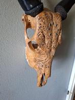 Koe Gesneden schedel - Onbekend - 50 cm - 45 cm - 16 cm -