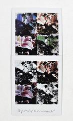 Maurizio Galimberti (1956–) - BiFlowers - 11208