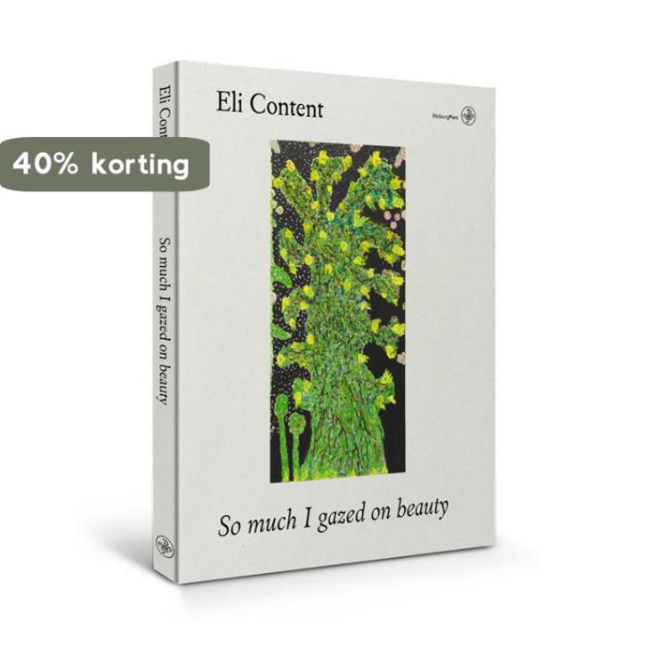 Eli Content 9789462494367 Hetty Berg, Boeken, Kunst en Cultuur | Beeldend, Gelezen, Verzenden